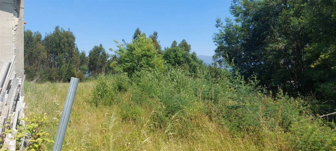 Terreno para Venda em Lousã e Vilarinho Foto 10