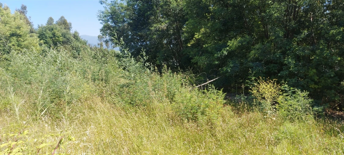 Terreno para Venda em Lousã e Vilarinho Foto 11