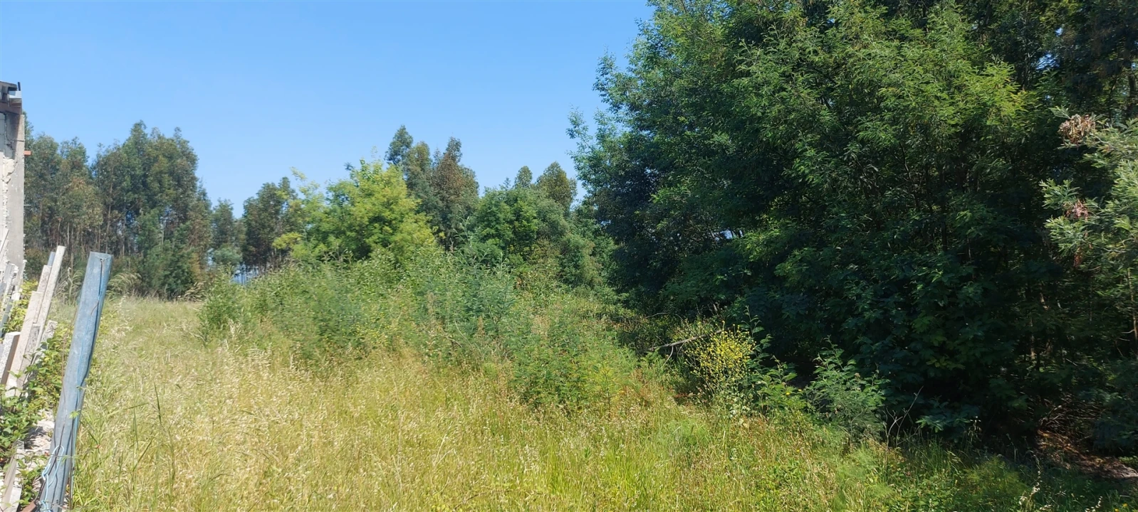 Terreno para Venda em Lousã e Vilarinho Foto 8