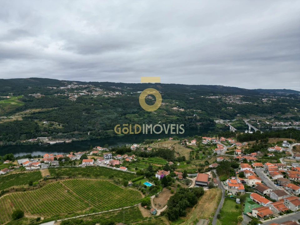Terreno para Venda em São Martinho de Sardoura Foto 8