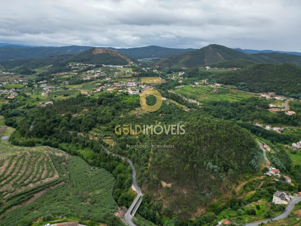 Terreno para Venda em São Martinho de Sardoura Foto 3