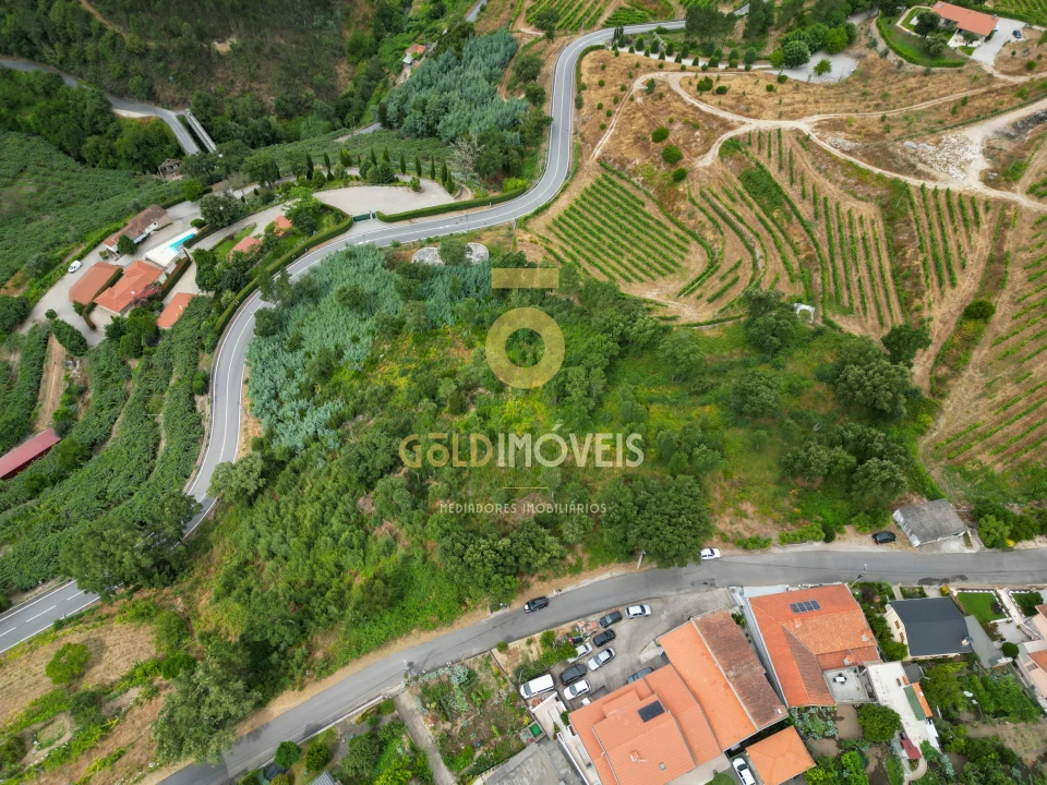 Terreno para Venda em São Martinho de Sardoura Foto 5