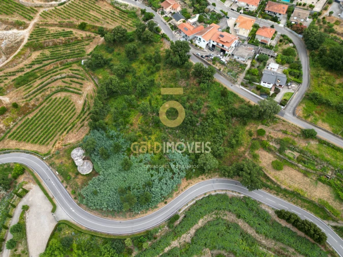 Terreno para Venda em São Martinho de Sardoura Foto 6