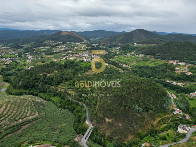 Terreno para Venda em São Martinho de Sardoura Foto 3