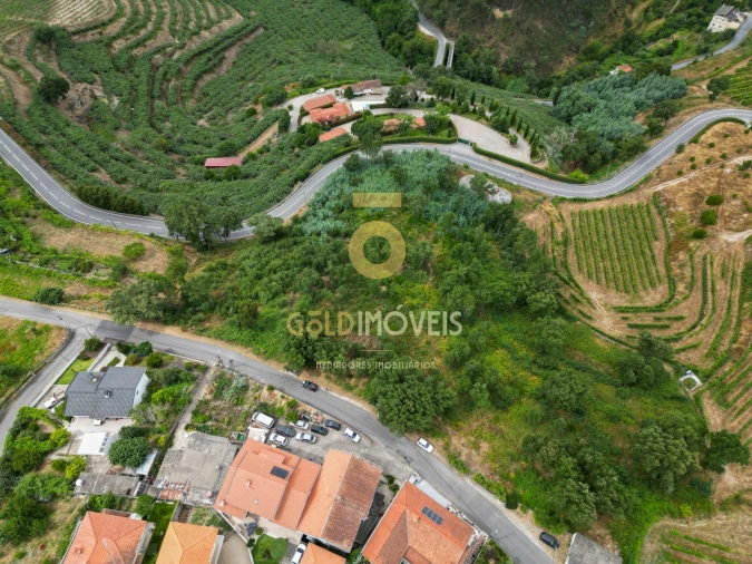 Terreno para Venda em São Martinho de Sardoura Foto 7