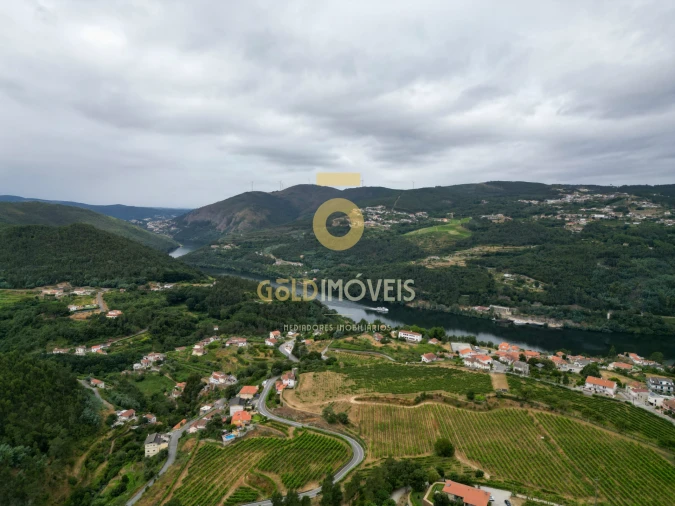 Terreno para Venda em São Martinho de Sardoura Foto 1