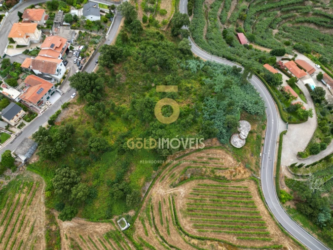 Terreno para Venda em São Martinho de Sardoura Foto 2