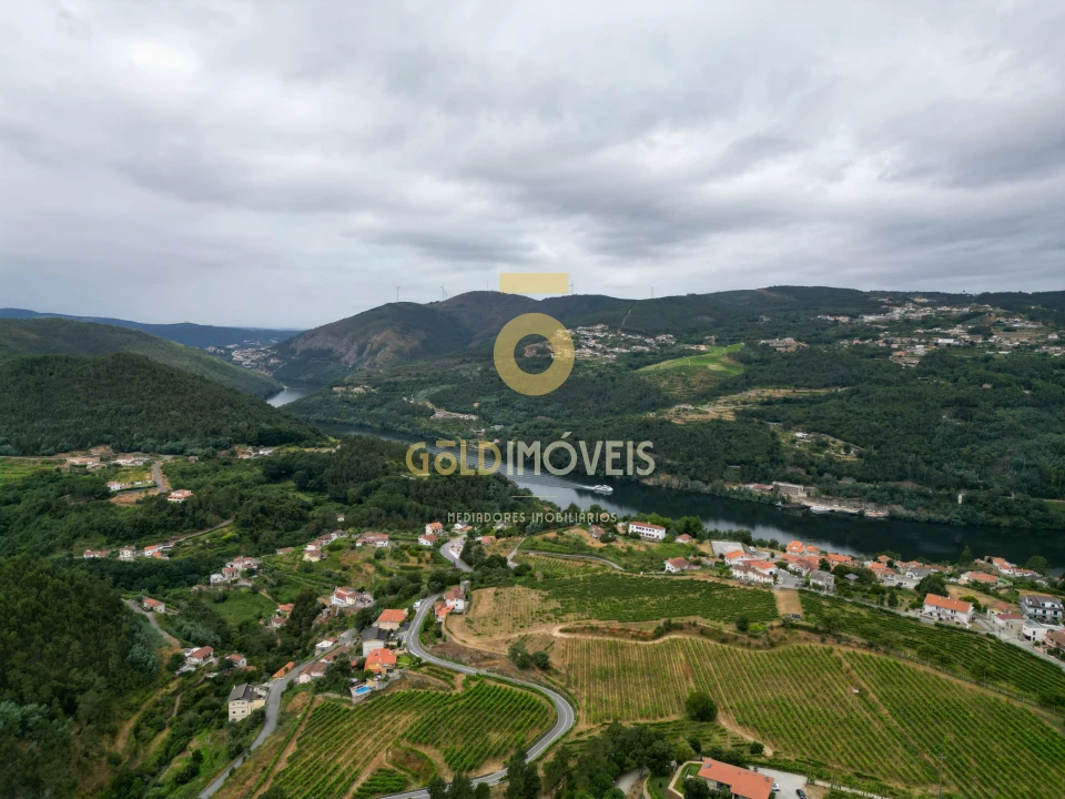 Terreno para Venda em São Martinho de Sardoura Foto 1