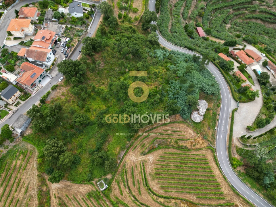 Terreno para Venda em São Martinho de Sardoura Foto 2