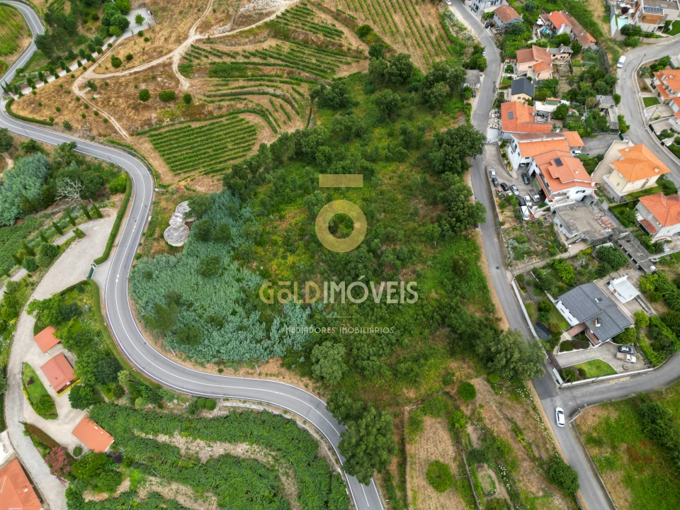 Terreno para Venda em São Martinho de Sardoura Foto 4