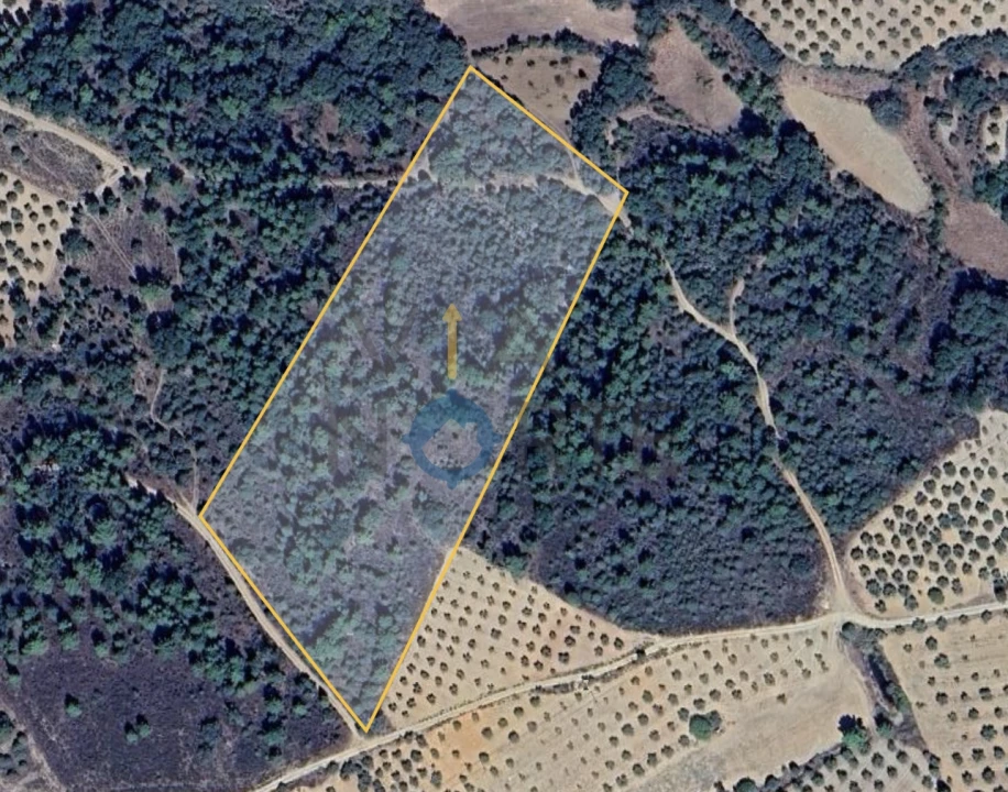 Terreno Agricola ou Rústico para Venda em Vilar Chão Foto 1