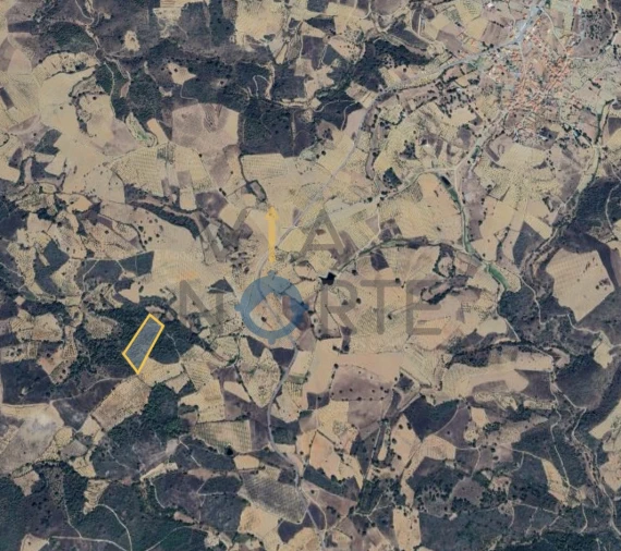 Terreno Agricola ou Rústico para Venda em Vilar Chão Foto 2