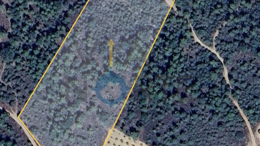 Terreno Agricola ou Rústico para Venda em Vilar Chão