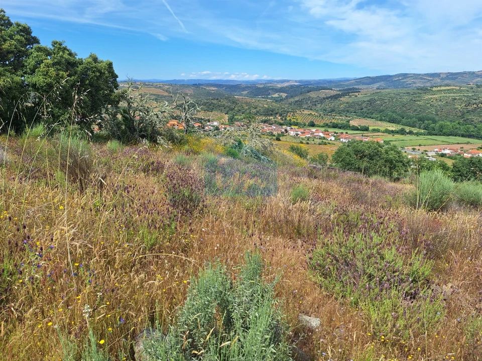 Terreno Agricola ou Rústico para Venda em Abambres Foto 3