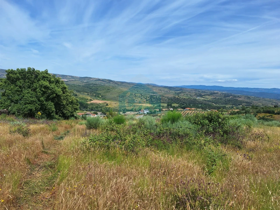 Terreno Agricola ou Rústico para Venda em Abambres Foto 5