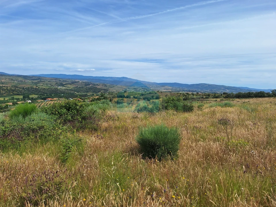 Terreno Agricola ou Rústico para Venda em Abambres Foto 9