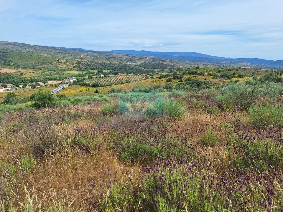 Terreno Agricola ou Rústico para Venda em Abambres Foto 4