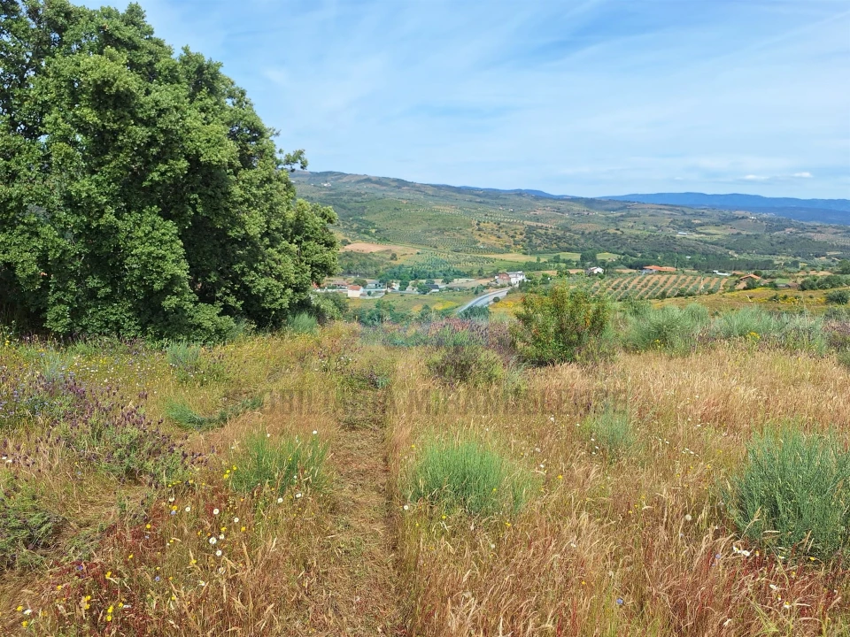 Terreno Agricola ou Rústico para Venda em Abambres Foto 10