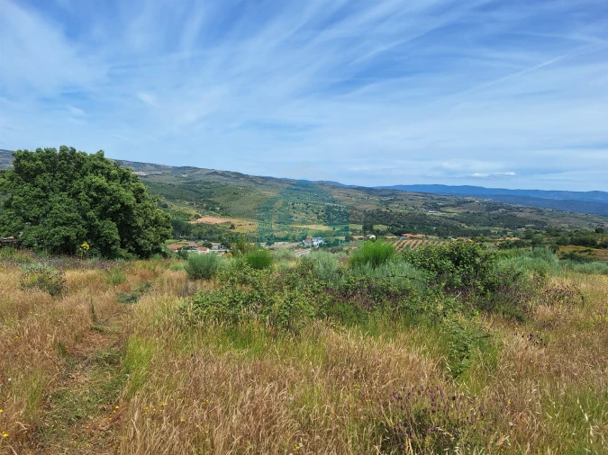 Terreno Agricola ou Rústico para Venda em Abambres Foto 5