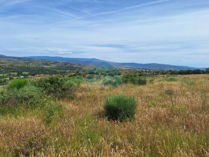 Terreno Agricola ou Rústico para Venda em Abambres Foto 9