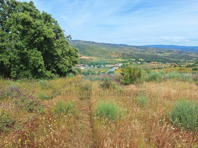 Terreno Agricola ou Rústico para Venda em Abambres Foto 10