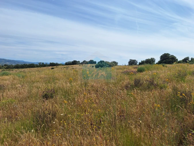 Terreno Agricola ou Rústico para Venda em Abambres Foto 7