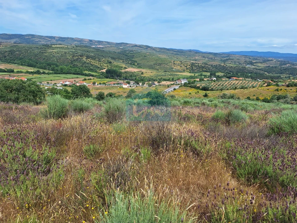 Terreno Agricola ou Rústico para Venda em Abambres Foto 2