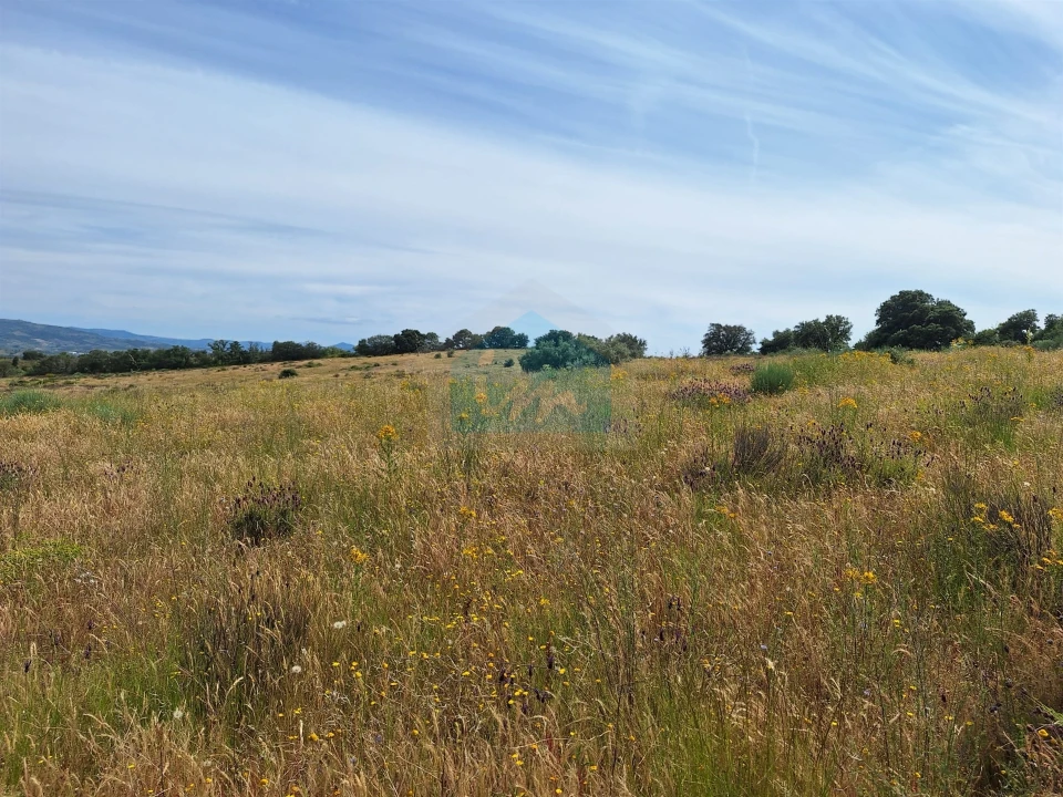 Terreno Agricola ou Rústico para Venda em Abambres Foto 7