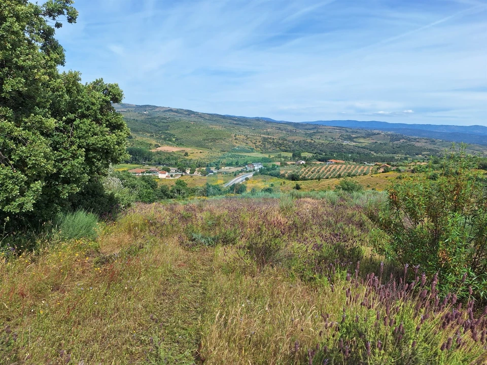 Terreno Agricola ou Rústico para Venda em Abambres Foto 6