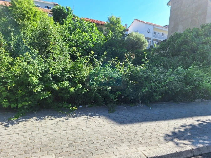 Terreno para Venda em Mirandela Foto 4