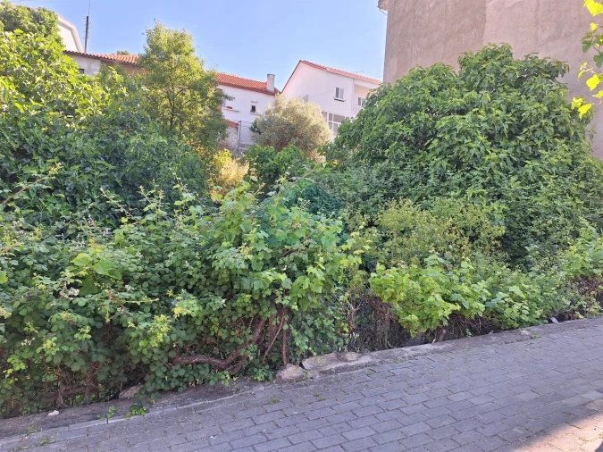 Terreno para Venda em Mirandela Foto 5