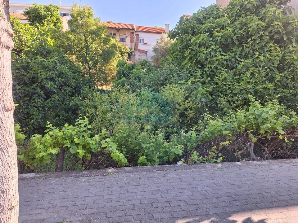 Terreno para Venda em Mirandela Foto 6