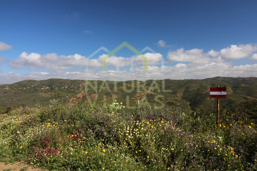 Terreno Misto para Venda em Santa Catarina da Fonte do Bispo Foto 4