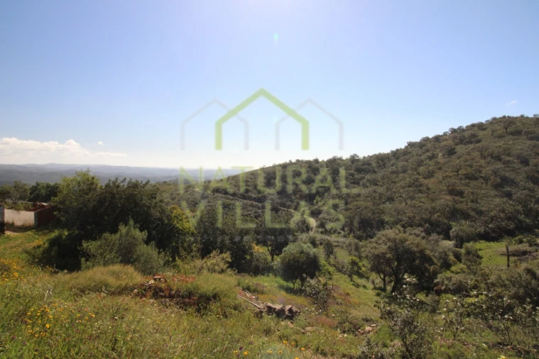 Terreno Misto para Venda em Santa Catarina da Fonte do Bispo Foto 3