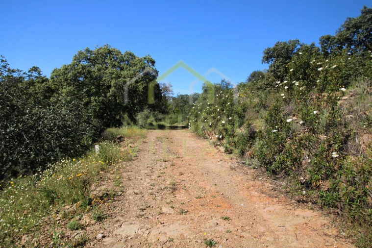 Terreno Misto para Venda em Santa Catarina da Fonte do Bispo Foto 5