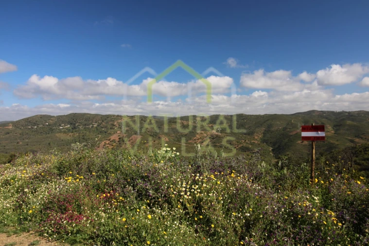 Terreno Misto para Venda em Santa Catarina da Fonte do Bispo Foto 4
