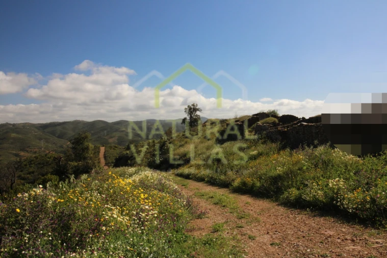 Terreno Misto para Venda em Santa Catarina da Fonte do Bispo Foto 5
