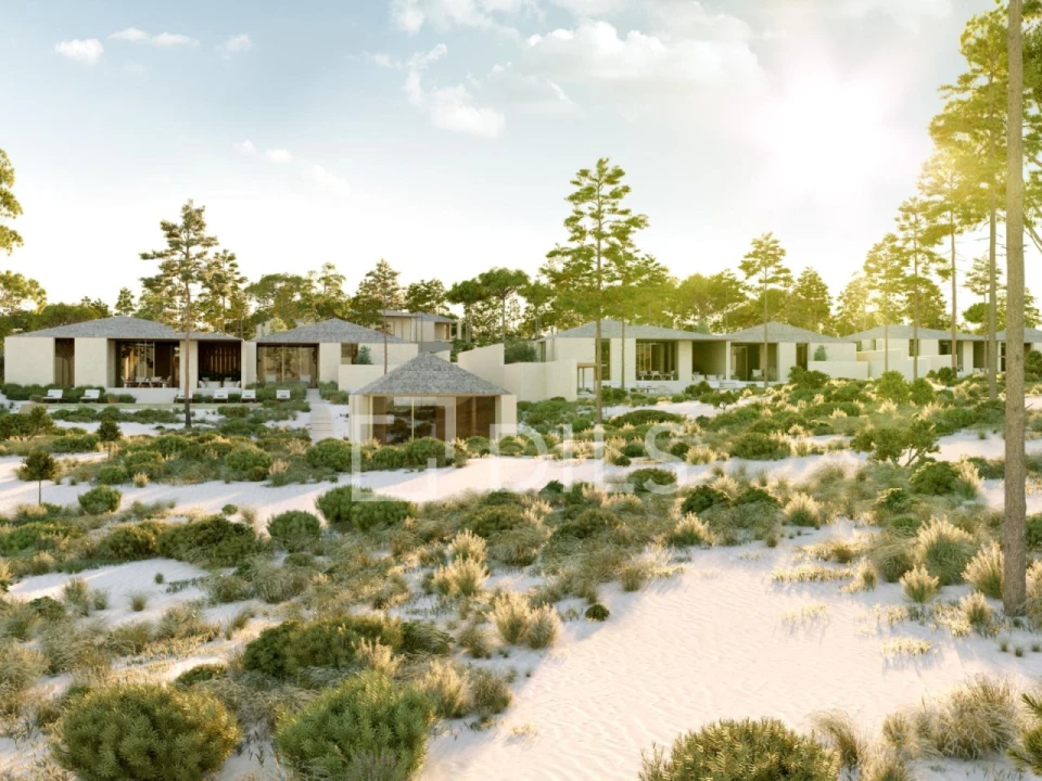 Moradia T3 para Venda em Melides Foto 37