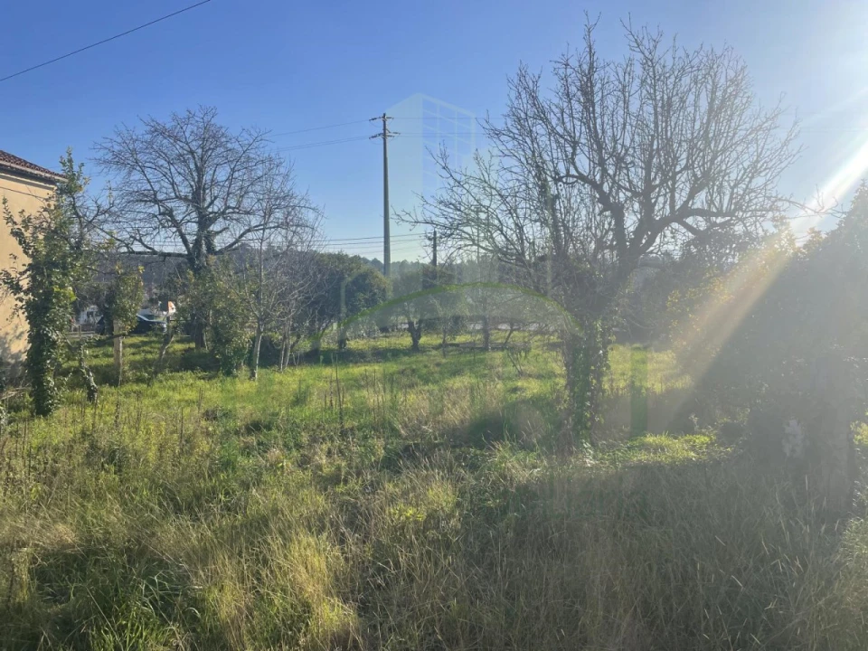 Moradia para Venda em São Pedro da Torre Foto 13