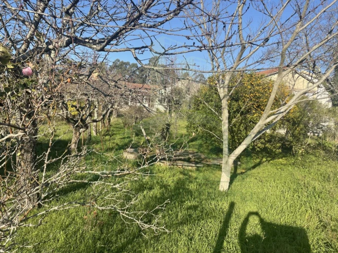 Moradia para Venda em São Pedro da Torre Foto 5