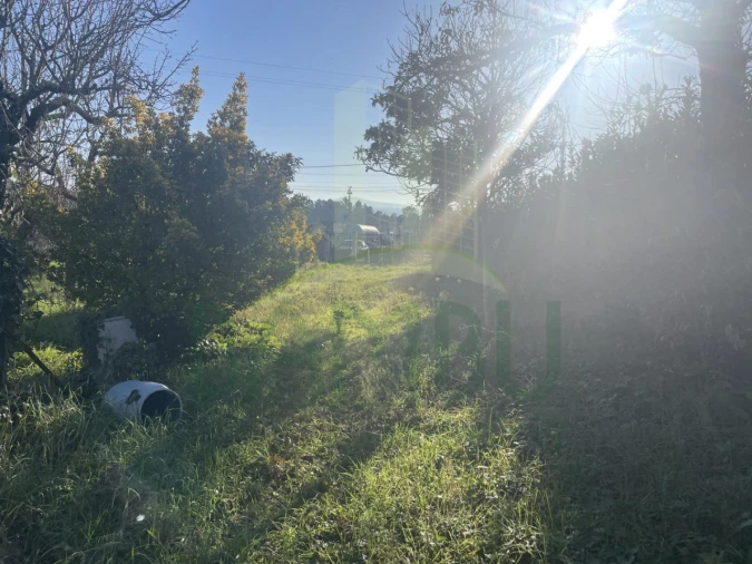 Moradia para Venda em São Pedro da Torre Foto 11