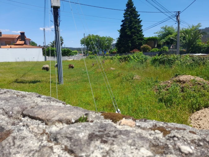 Terreno para Venda em Roriz Foto 2