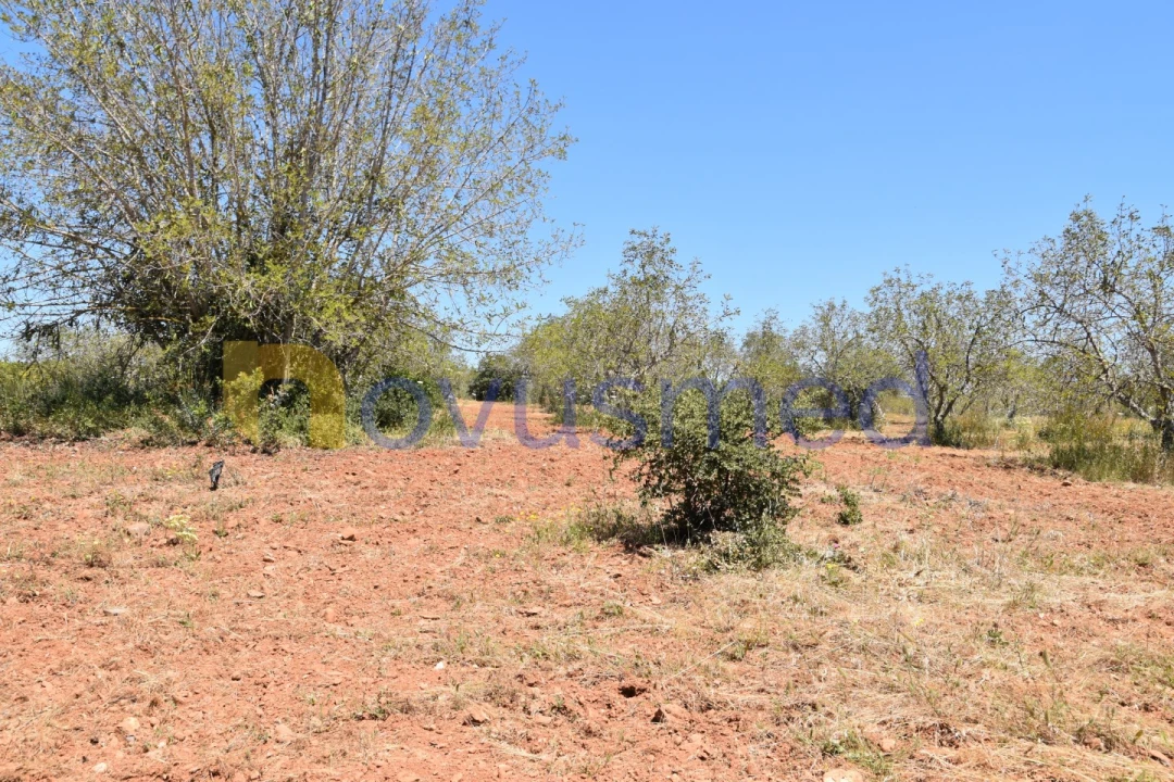 Terreno Agricola ou Rústico para Venda em Paderne Foto 3