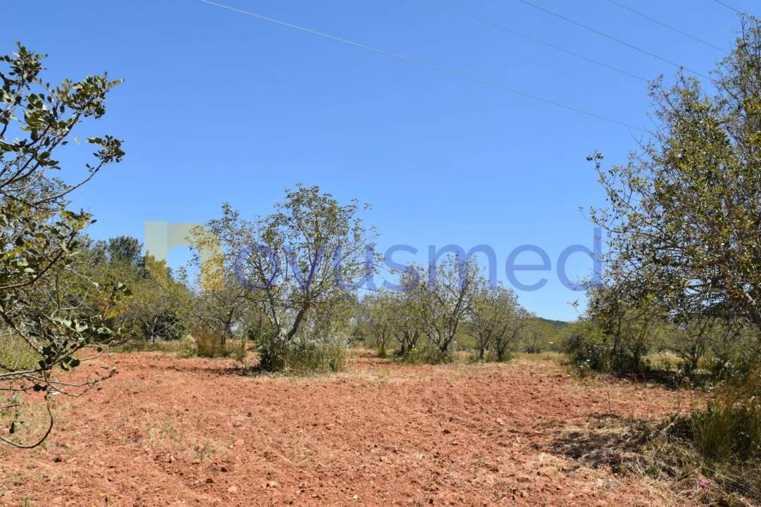 Terreno Agricola ou Rústico para Venda em Paderne Foto 1