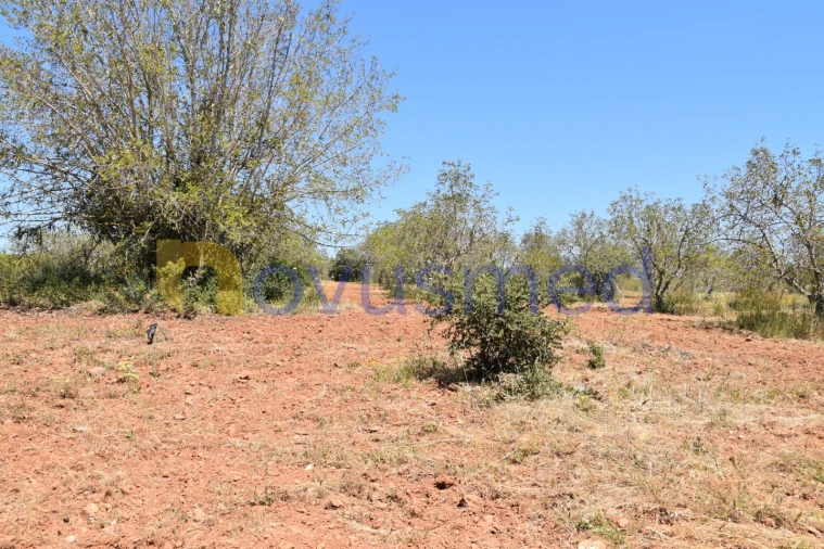 Terreno Agricola ou Rústico para Venda em Paderne Foto 3