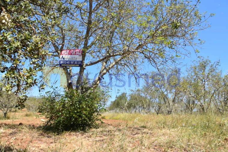 Terreno Agricola ou Rústico para Venda em Paderne Foto 10
