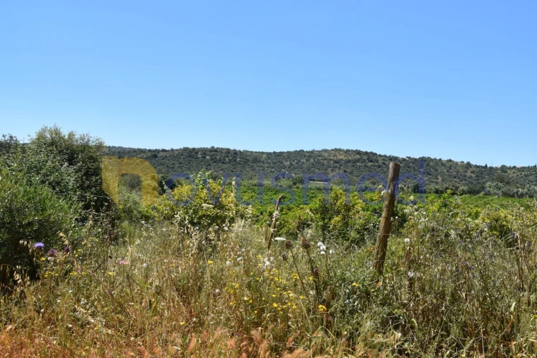 Terreno Agricola ou Rústico para Venda em Paderne Foto 14