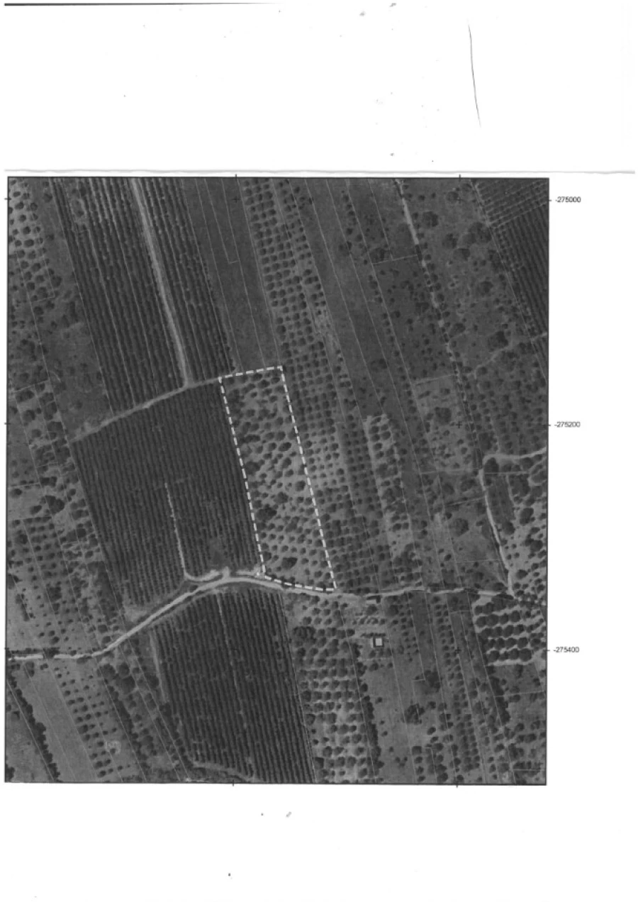 Terreno Agricola ou Rústico para Venda em Paderne Planta 1