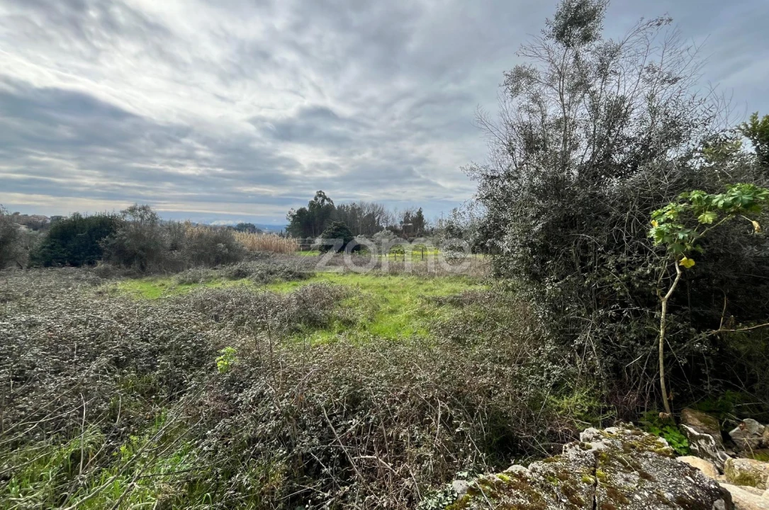 Terreno para Venda em Rio de Moinhos Foto 4