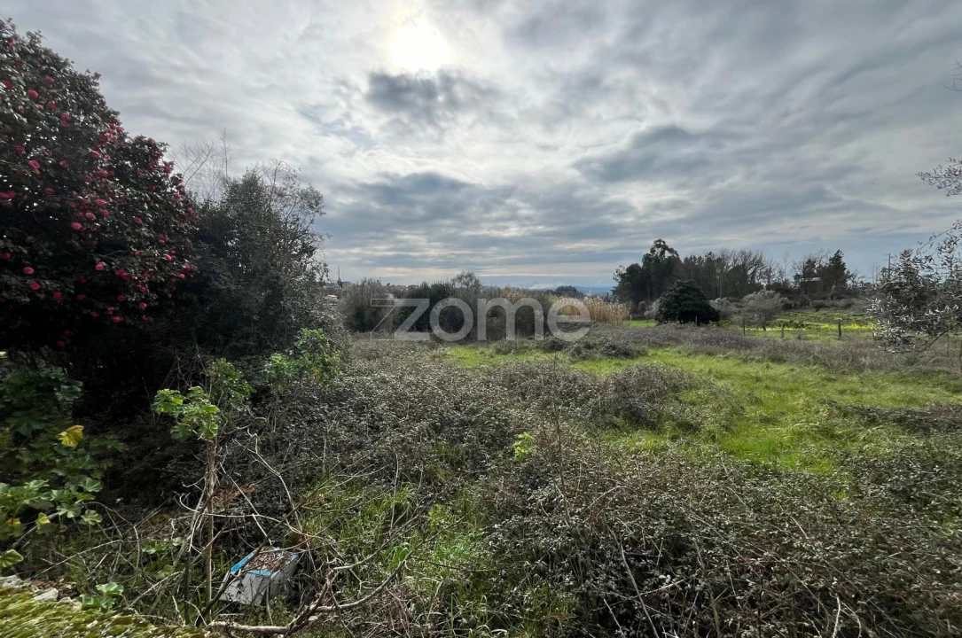 Terreno para Venda em Rio de Moinhos Foto 5